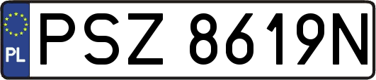 PSZ8619N