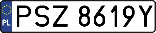 PSZ8619Y