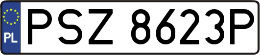 PSZ8623P