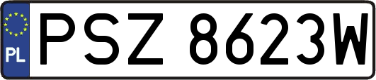 PSZ8623W