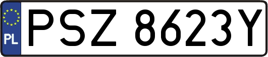 PSZ8623Y