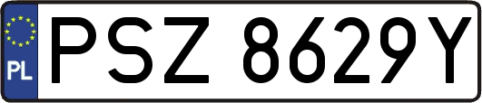 PSZ8629Y