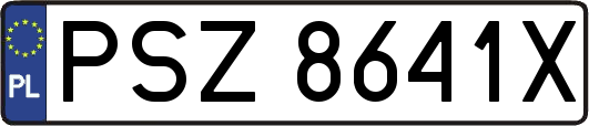 PSZ8641X