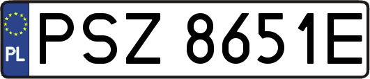 PSZ8651E