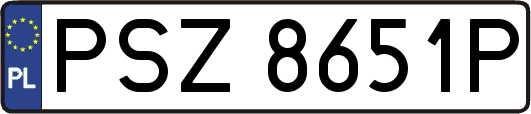 PSZ8651P