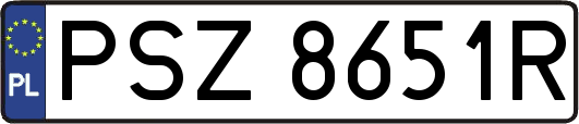 PSZ8651R