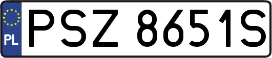 PSZ8651S