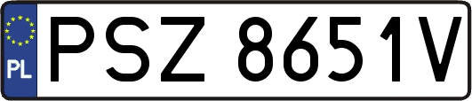 PSZ8651V
