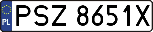 PSZ8651X
