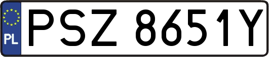 PSZ8651Y