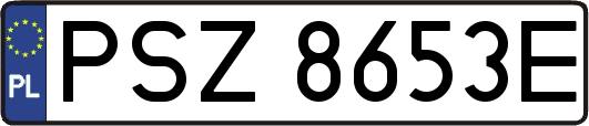 PSZ8653E