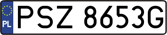 PSZ8653G