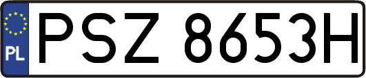 PSZ8653H