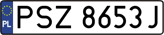 PSZ8653J