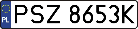 PSZ8653K