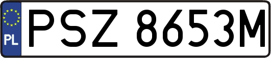 PSZ8653M