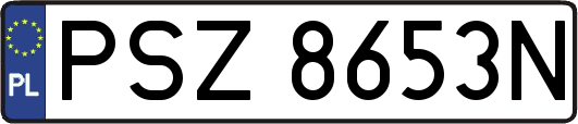 PSZ8653N