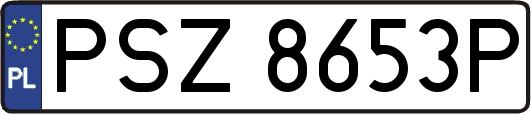 PSZ8653P
