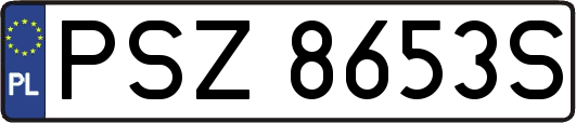 PSZ8653S
