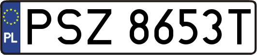 PSZ8653T