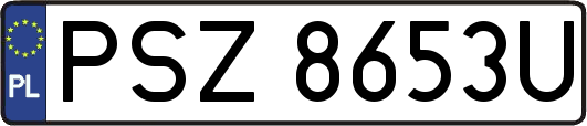 PSZ8653U