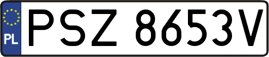 PSZ8653V