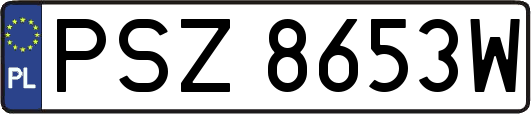 PSZ8653W