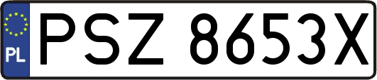PSZ8653X