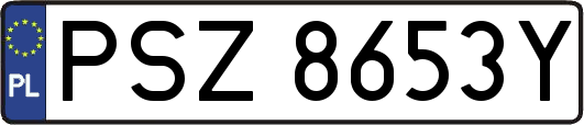 PSZ8653Y