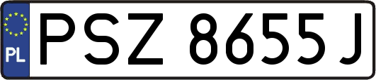 PSZ8655J