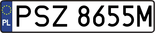 PSZ8655M