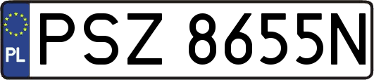 PSZ8655N