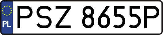 PSZ8655P