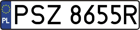 PSZ8655R