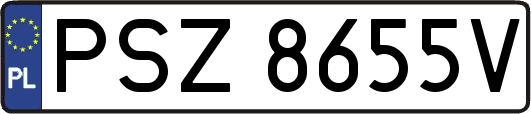 PSZ8655V