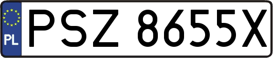PSZ8655X