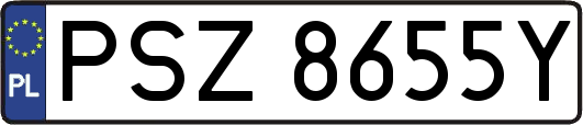 PSZ8655Y