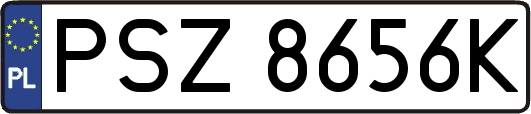 PSZ8656K