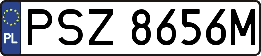 PSZ8656M
