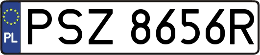 PSZ8656R