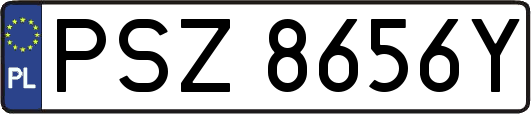PSZ8656Y