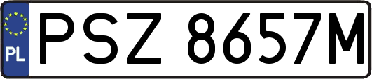 PSZ8657M