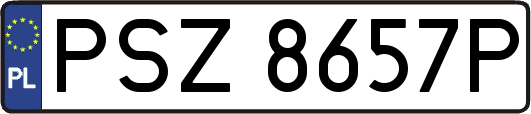 PSZ8657P