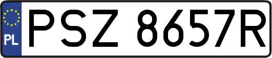 PSZ8657R