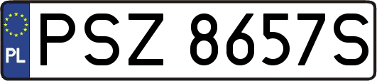 PSZ8657S