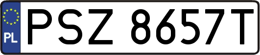 PSZ8657T