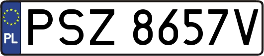 PSZ8657V