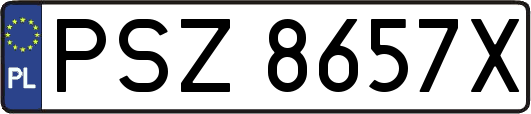 PSZ8657X