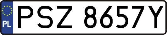 PSZ8657Y