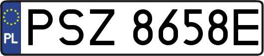 PSZ8658E